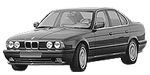 BMW E34 P174E Fault Code