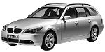 BMW E61 P174E Fault Code