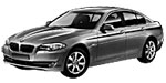 BMW F10 P174E Fault Code